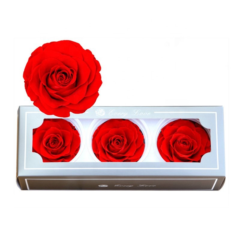 Grade A 7-8cm Roses Long Lasting White Preserved Decorative Flowers of Resup