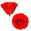 Grade A 7-8cm Roses Long Lasting White Preserved Decorative Flowers of Resup