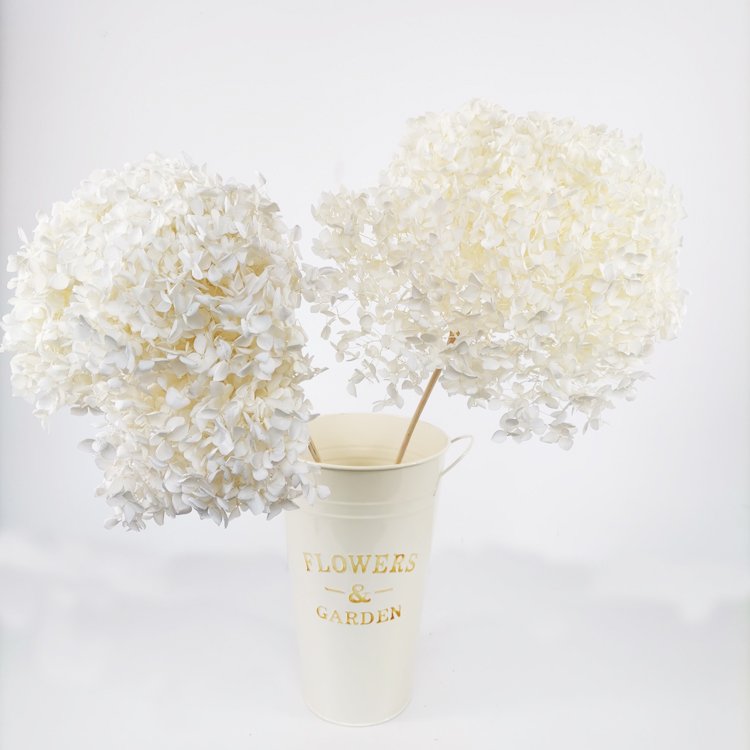 SumFlora Wholesale Wedding Flower Decoration Wall Eternal Preserved Hydrangea Flowers For Wedding