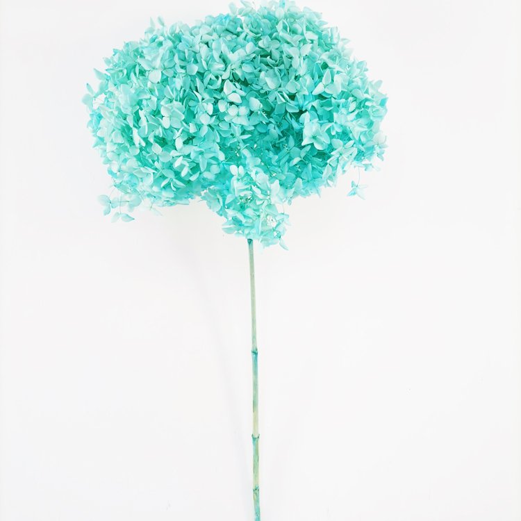 SumFlora Wholesale Wedding Flower Decoration Wall Eternal Preserved Hydrangea Flowers For Wedding