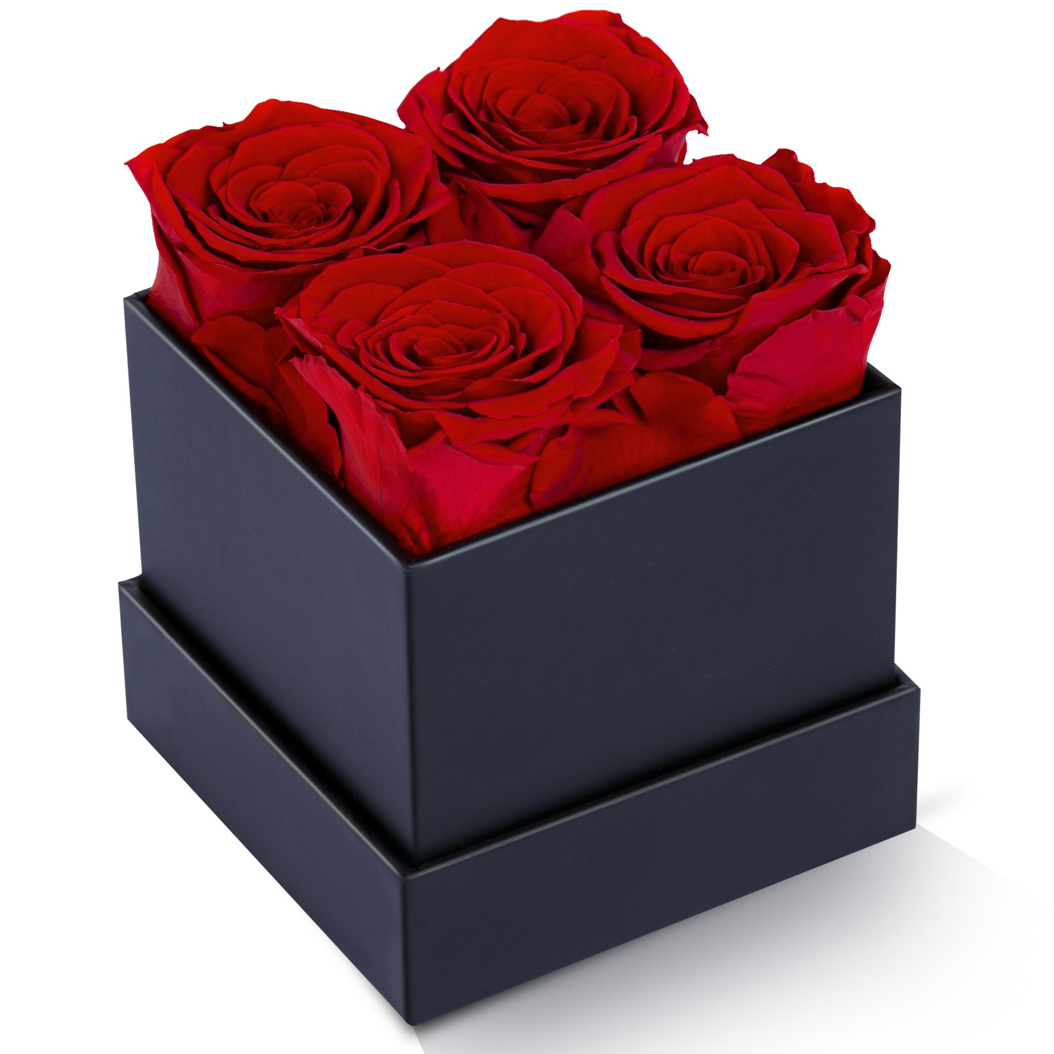 New Products Ideas 2024 Purple Forever Flores Real Eternal Decorative Rose Preserving Flower In Gift Square Box