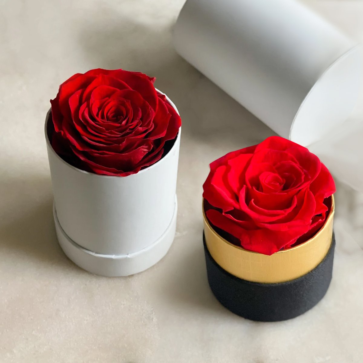 HFlora NEW model White gift box preserved rose for Valentine's Day