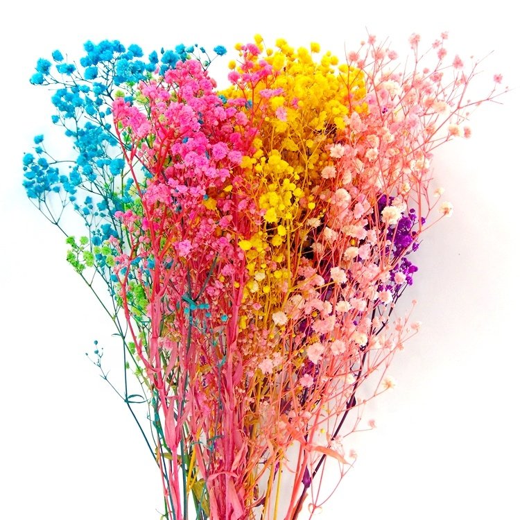 Low price preserved mini Gypsophila preserved gypsophila preserved flower wholesale preserved flowers in glass