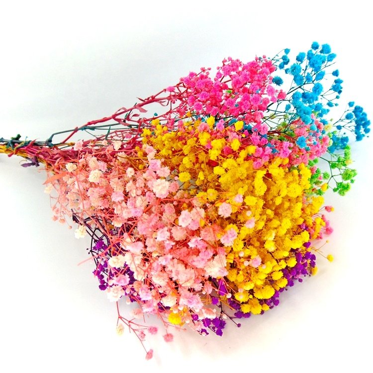 Low price preserved mini Gypsophila preserved gypsophila preserved flower wholesale preserved flowers in glass