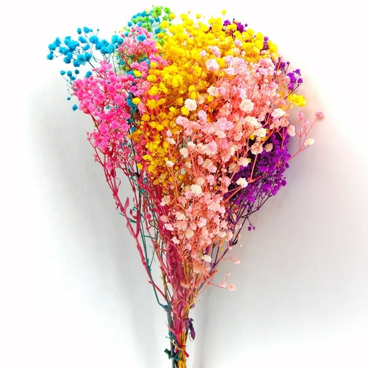Low price preserved mini Gypsophila preserved gypsophila preserved flower wholesale preserved flowers in glass