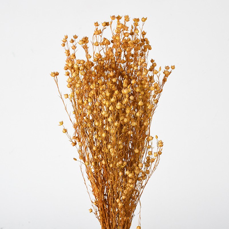 Preserved natural flax bean, jequirity, flaxseed pods flower, jumble-beads, floral arrangements