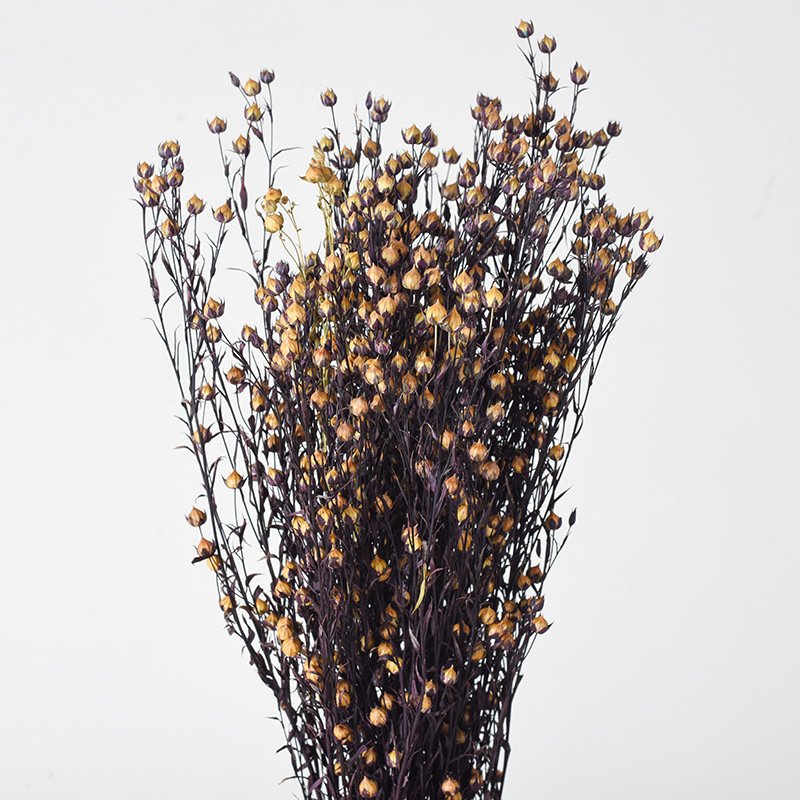 Preserved natural flax bean, jequirity, flaxseed pods flower, jumble-beads, floral arrangements