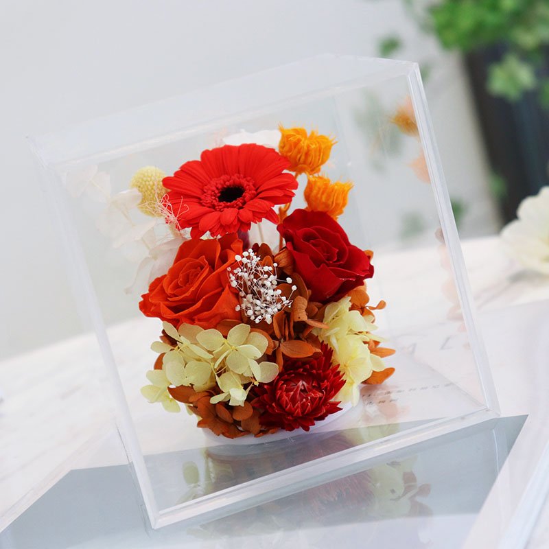 Wholesale Simulation African Chrysanthemum Preserved Flowers African Chrysanthemum For Home Decor African Chrysanthemum