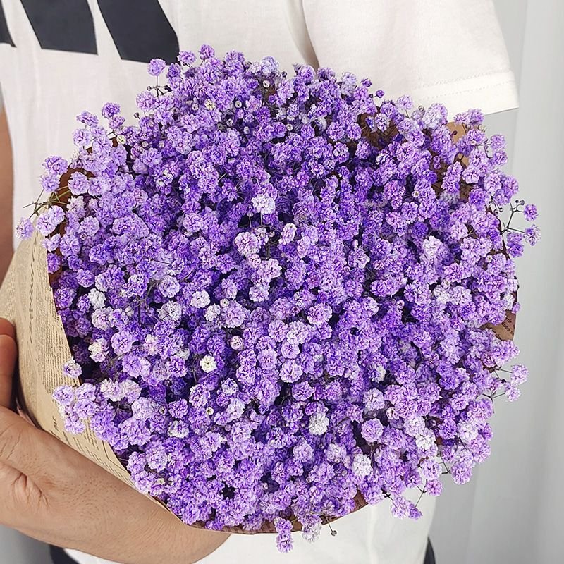 A00641-Factory Direct Sales Most Popular Preserved Babysbreath Flowers Artificial Gypsophila For Wedding Home Decoration