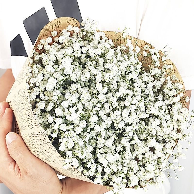A00641-Factory Direct Sales Most Popular Preserved Babysbreath Flowers Artificial Gypsophila For Wedding Home Decoration