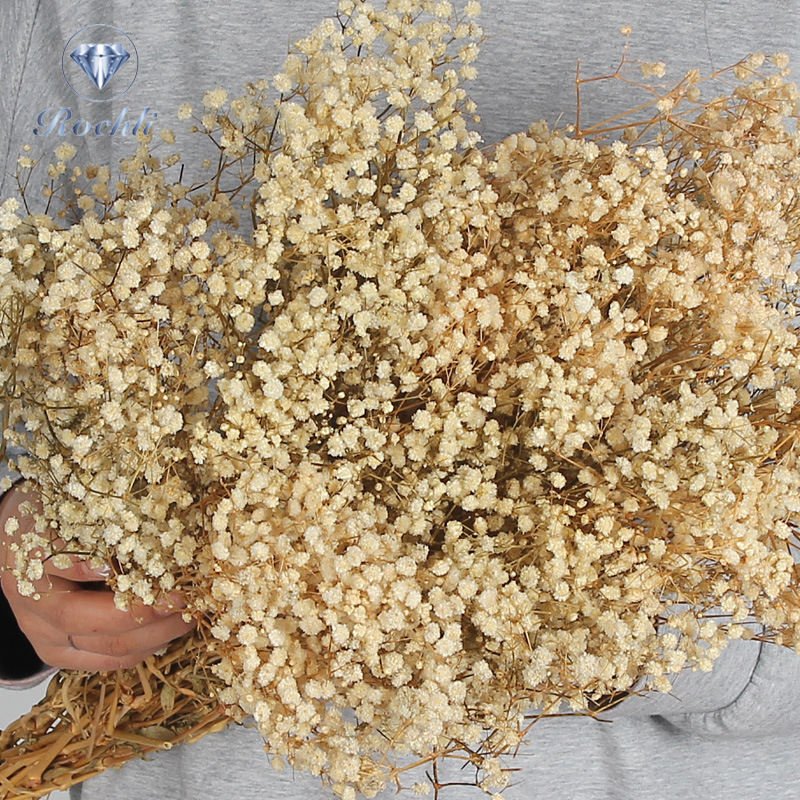A00641-Factory Direct Sales Most Popular Preserved Babysbreath Flowers Artificial Gypsophila For Wedding Home Decoration