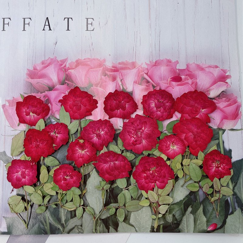 Rose With Brunch- Hot Sales Resin Craft Used Real Natural Dried And Pressed Flowers