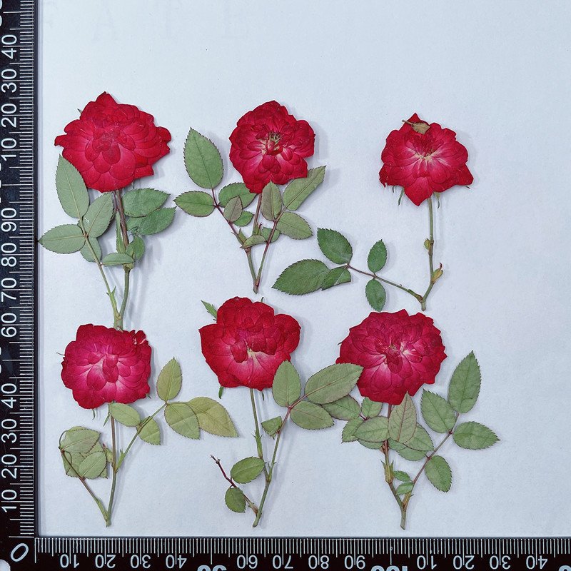 Rose With Brunch- Hot Sales Resin Craft Used Real Natural Dried And Pressed Flowers
