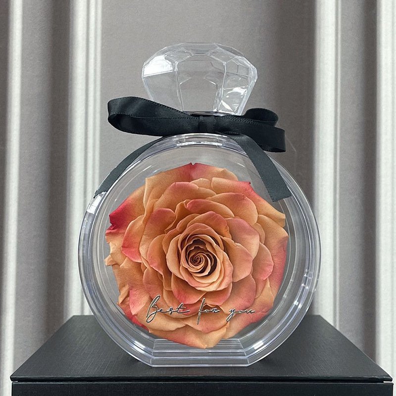 2024 Mother's Day Gifts New Idea Preserved Rose Forever Stabilized Flowers In Perfume Bottle Gift Box With Ribbon