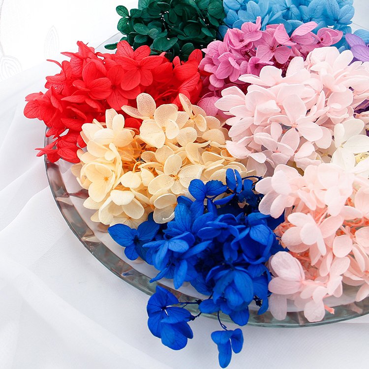 SumFlora Yunnan Supply A Grade Preserved Hydrangea Flowers For Decoration
