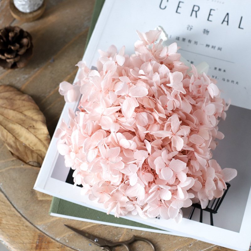 SumFlora Yunnan Supply A Grade Preserved Hydrangea Flowers For Decoration