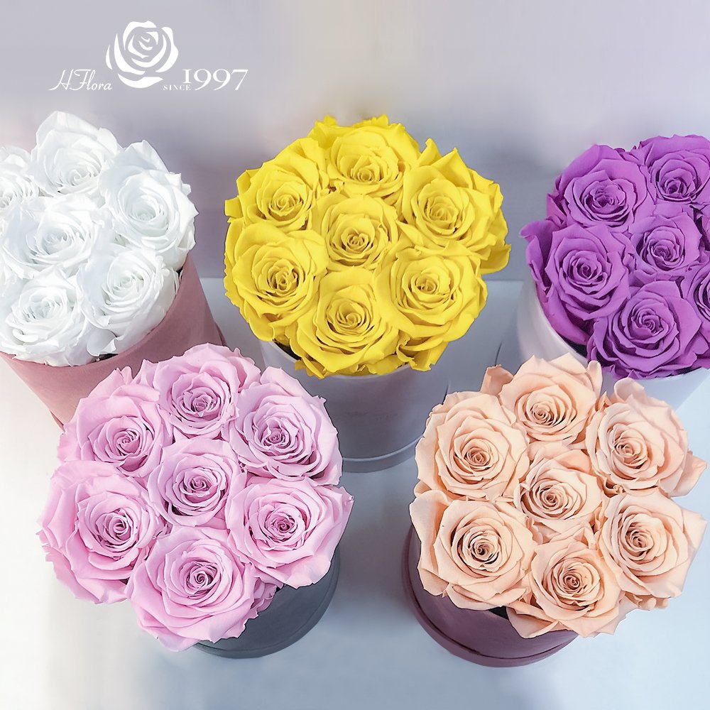 Hfloral Valentines Gifts Eternal Long Lasting Roses Eternelle Flower Real Natural Preserved Roses Flowers And Plants Rose In Box