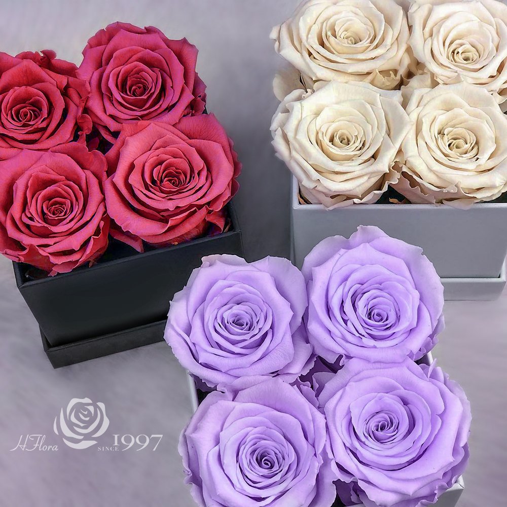 Hfloral Valentines Gifts Eternal Long Lasting Roses Eternelle Flower Real Natural Preserved Roses Flowers And Plants Rose In Box