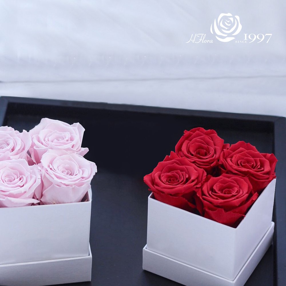 Hfloral Valentines Gifts Eternal Long Lasting Roses Eternelle Flower Real Natural Preserved Roses Flowers And Plants Rose In Box
