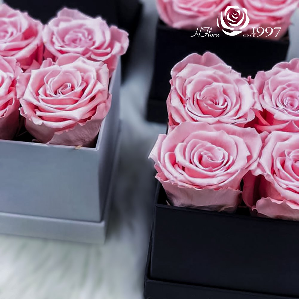 Hfloral Valentines Gifts Eternal Long Lasting Roses Eternelle Flower Real Natural Preserved Roses Flowers And Plants Rose In Box