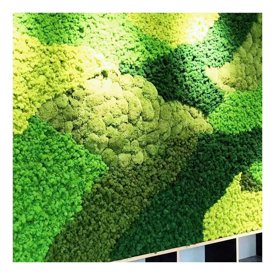 Preserved moss wall art Natural reindeer moss wall panel indoor decorate lichens preserved colorful moss panel