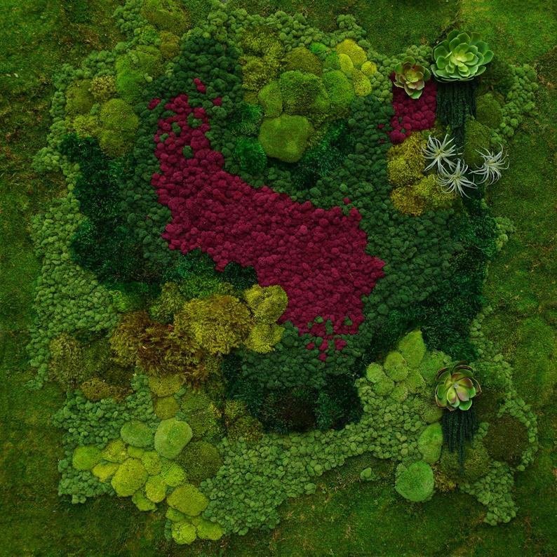 Preserved moss wall art Natural reindeer moss wall panel indoor decorate lichens preserved colorful moss panel
