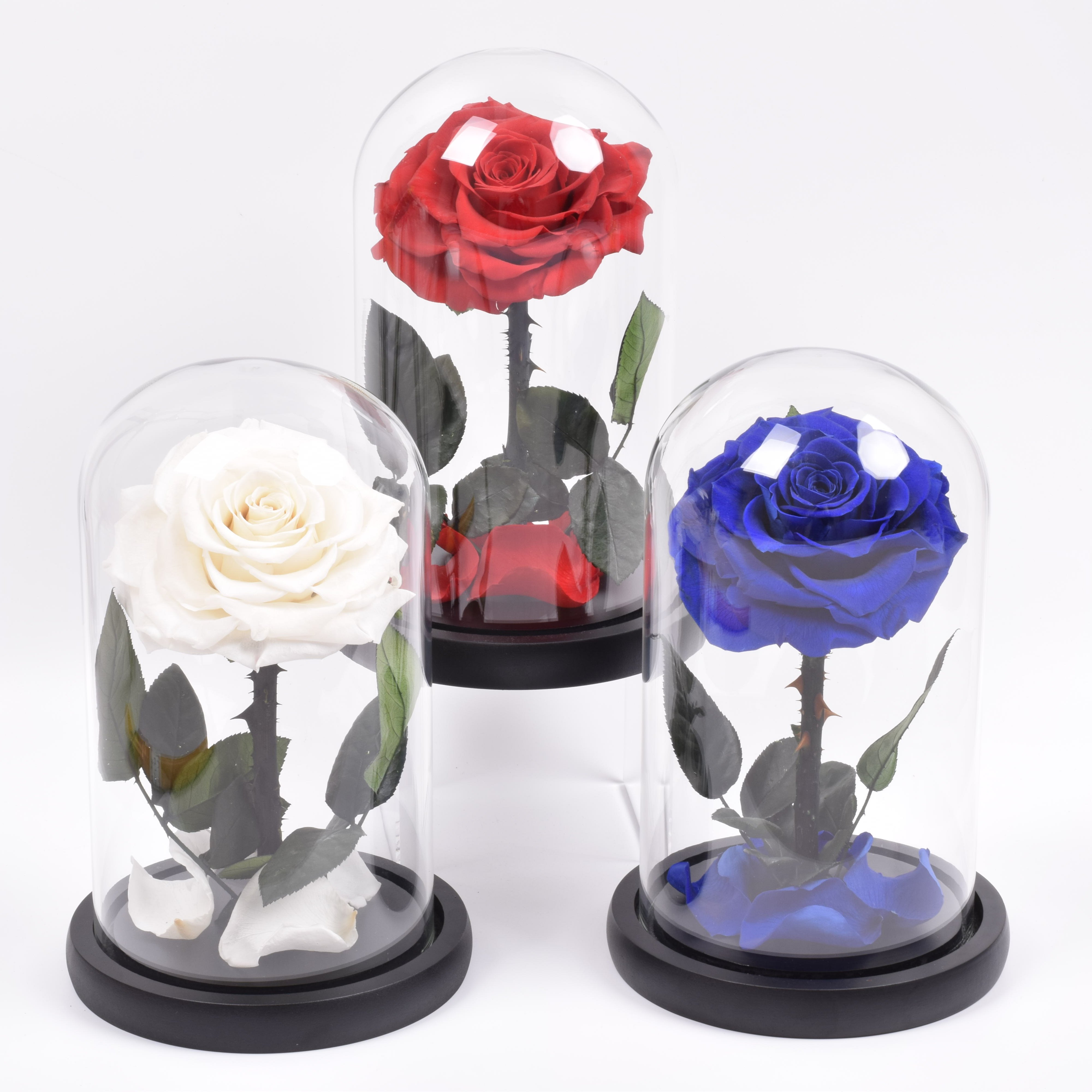 Glass Geometric Terrarium Eternal Rose Preserved Flower In Dome The Best Souvenir Mothers Day Gift Ideas
