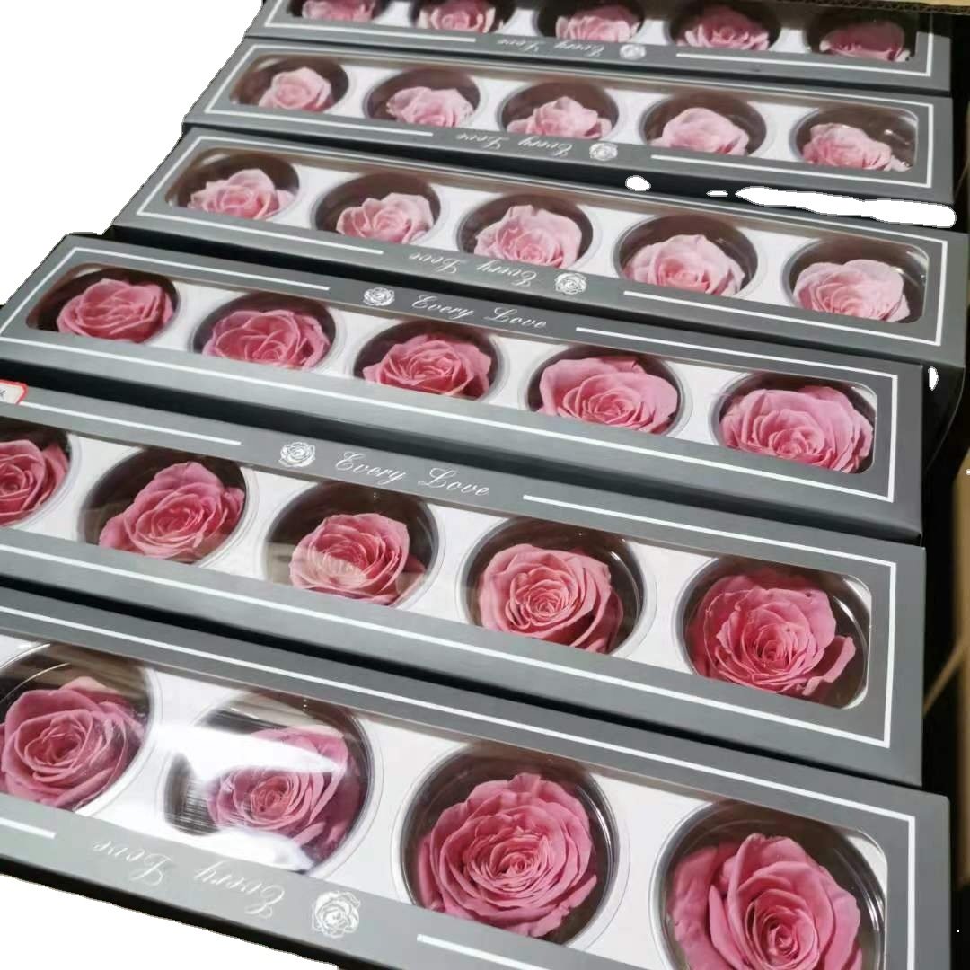 Enchanted Preserved Roses 6-7cm Stabilized Rose high quality preserved flower