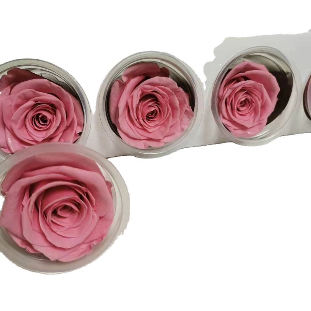Enchanted Preserved Roses 6-7cm Stabilized Rose high quality preserved flower