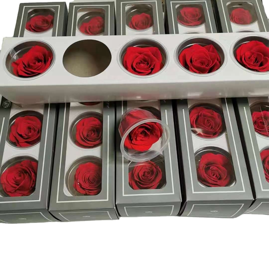 Enchanted Preserved Roses 6-7cm Stabilized Rose high quality preserved flower