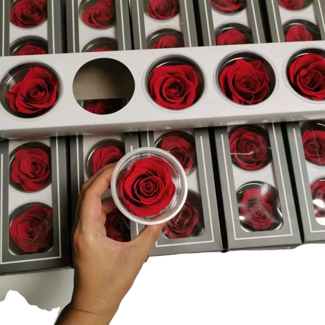 Enchanted Preserved Roses 6-7cm Stabilized Rose high quality preserved flower