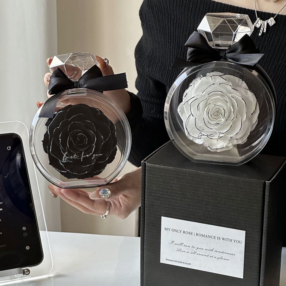 Creative 2024 idea Valentine's Day Birthday Gift Box Preserved Single Big Rose immortal Eternal Flower in Acrylic Box/Glass Dome