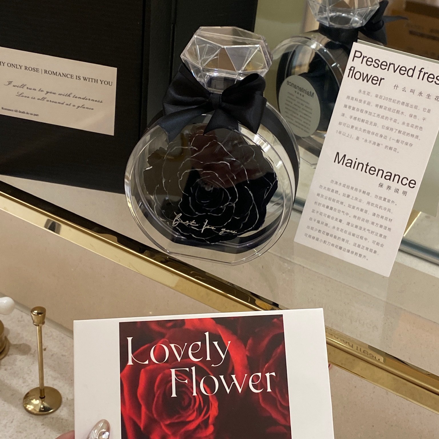 Creative 2024 idea Valentine's Day Birthday Gift Box Preserved Single Big Rose immortal Eternal Flower in Acrylic Box/Glass Dome