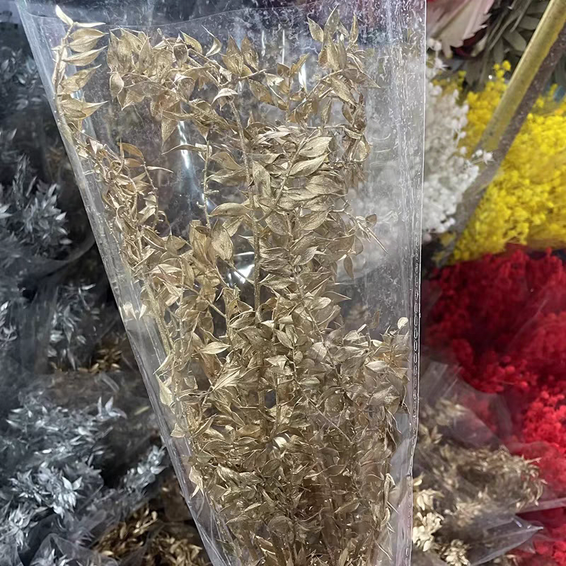 Preserved Dry Flower Preserved Bleached Eucalyptus Small leaves Preserved Italian Ruscus for Any Event's Decoration