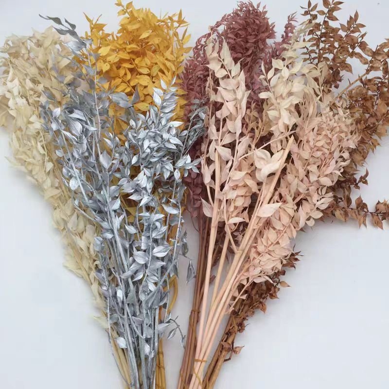 Preserved Dry Flower Preserved Bleached Eucalyptus Small leaves Preserved Italian Ruscus for Any Event's Decoration