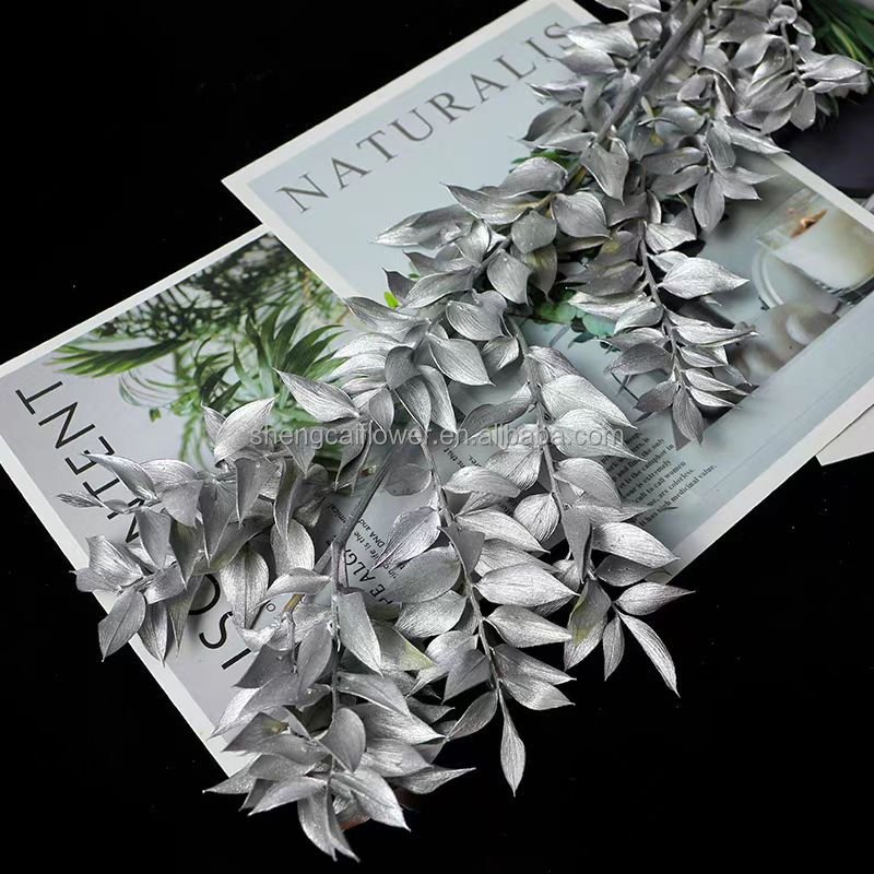 Preserved Dry Flower Preserved Bleached Eucalyptus Small leaves Preserved Italian Ruscus for Any Event's Decoration