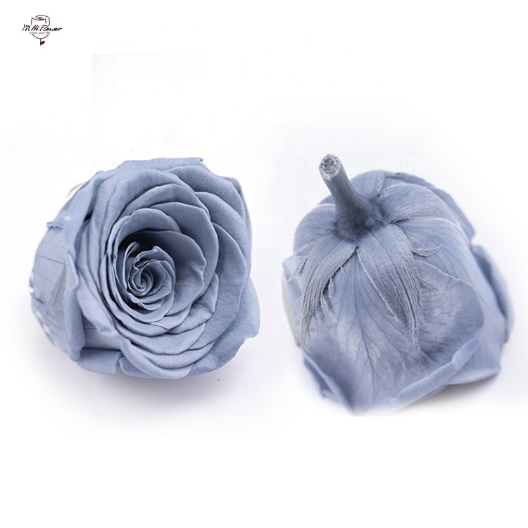 Eternity Flower Material Long Life Lasting Rose Eternally Preserved Flowers Heads For Valentines Flowers Gift