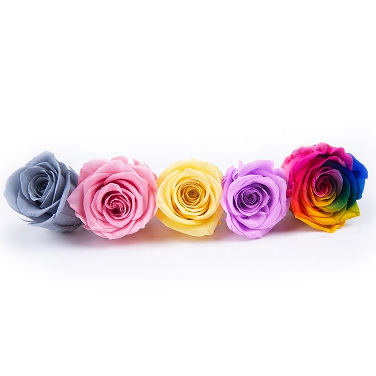 Eternity Flower Material Long Life Lasting Rose Eternally Preserved Flowers Heads For Valentines Flowers Gift