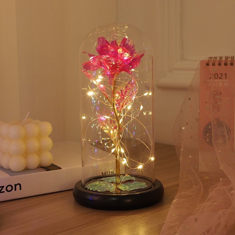 Most Popular Item Rose Flower Preserved Flower With LED And Gift Box For Valentine's Day