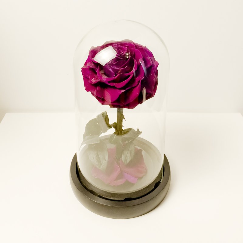 Super value Bright Pink Best Christmas Gift Roses Stabilized Preserved Flower Eternal Rose In Glass Dome Wedding Gifts