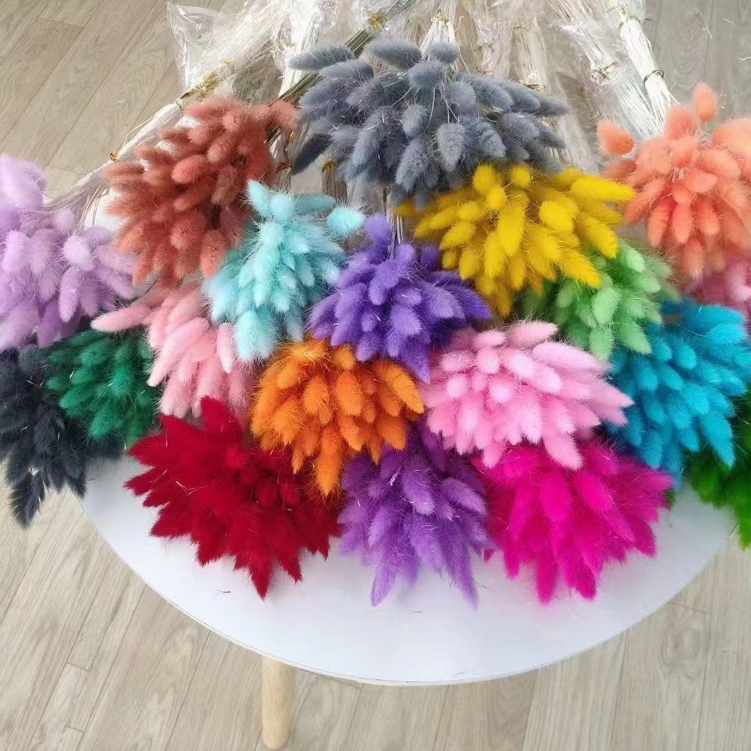 60 pcs BOHO Natural Pampas Bunny Tail Grass Preserved Rabbit Tail Grass Colorful Dried Flower Decoration dried flower