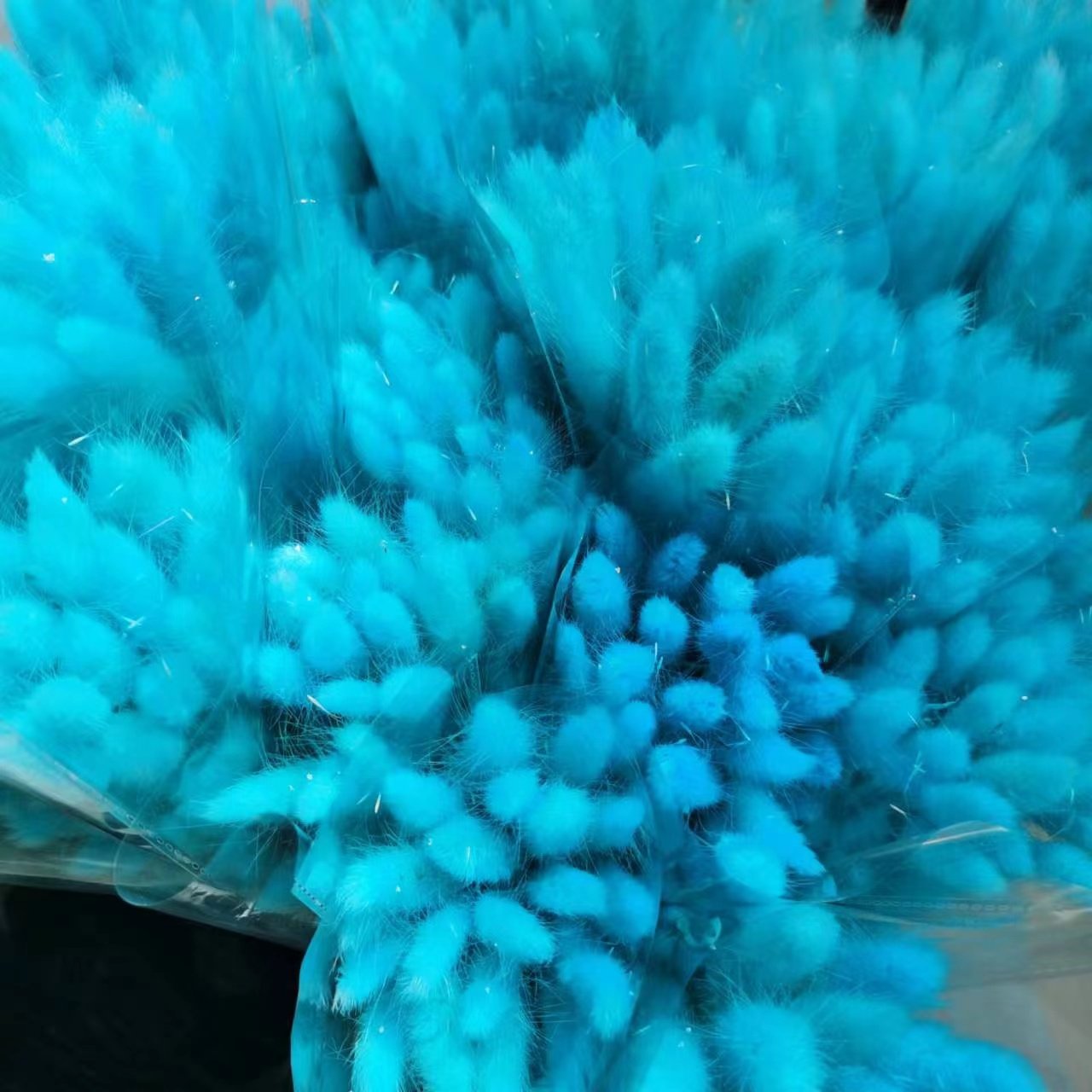 60 pcs BOHO Natural Pampas Bunny Tail Grass Preserved Rabbit Tail Grass Colorful Dried Flower Decoration dried flower