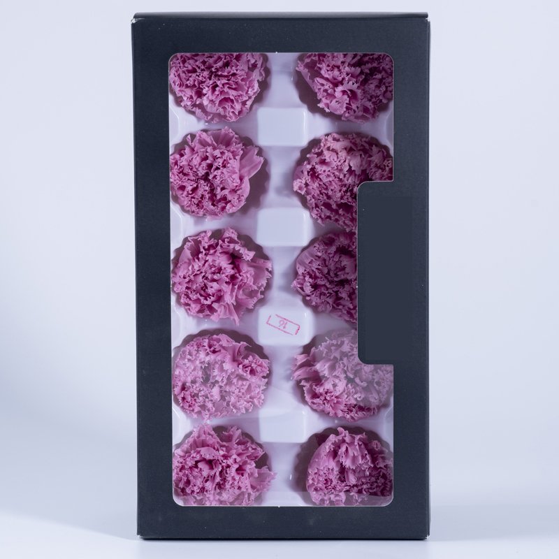 Preserved 3-4cm Carnation Pack of 10 for Decorative Love Theme Premium Quality Plants & Flowers Mother&#39;s Day Easter Perfume