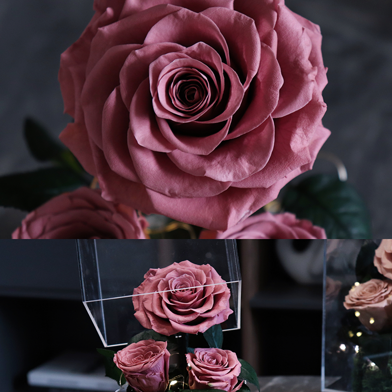 Popular Preserved Roses In Acrylic Box Mothers Day Acrylic Preserved Flower Rose Acrylic Gift Box Eternal Flowers