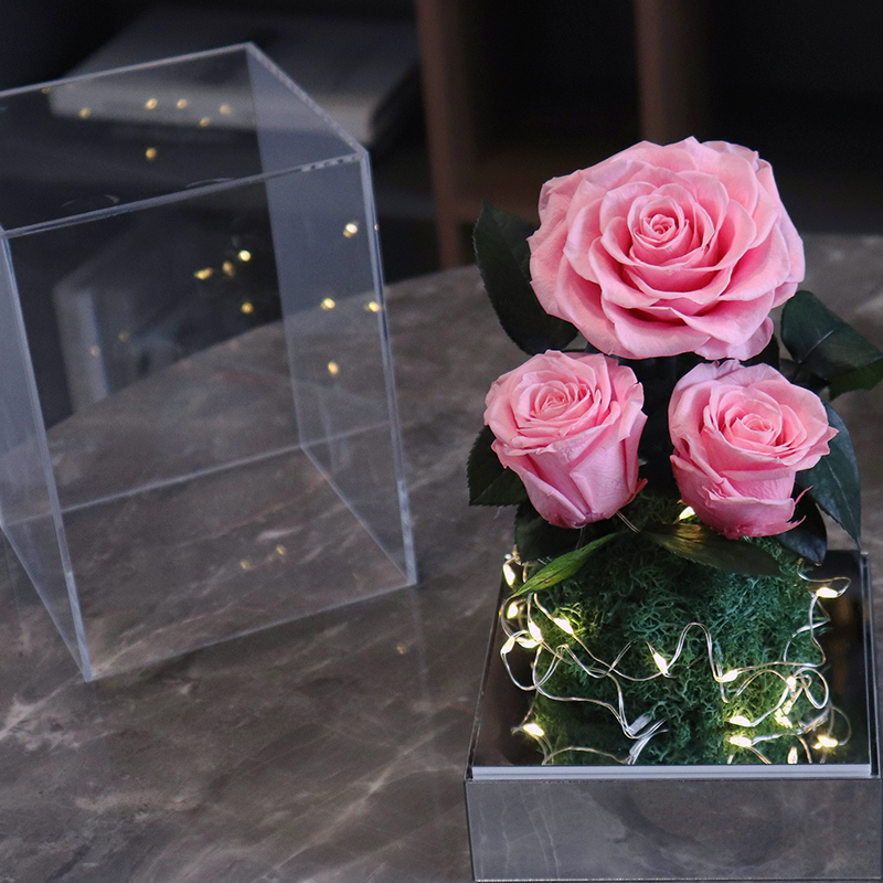 Popular Preserved Roses In Acrylic Box Mothers Day Acrylic Preserved Flower Rose Acrylic Gift Box Eternal Flowers