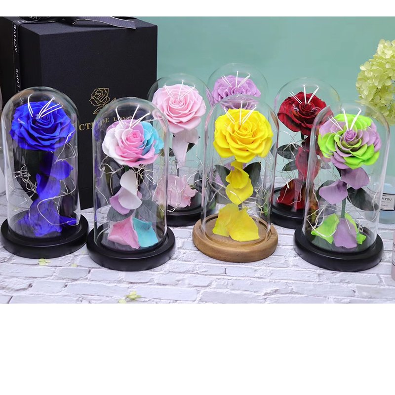 wholesale real natural red forever rose box small glass dome preserved flower plants