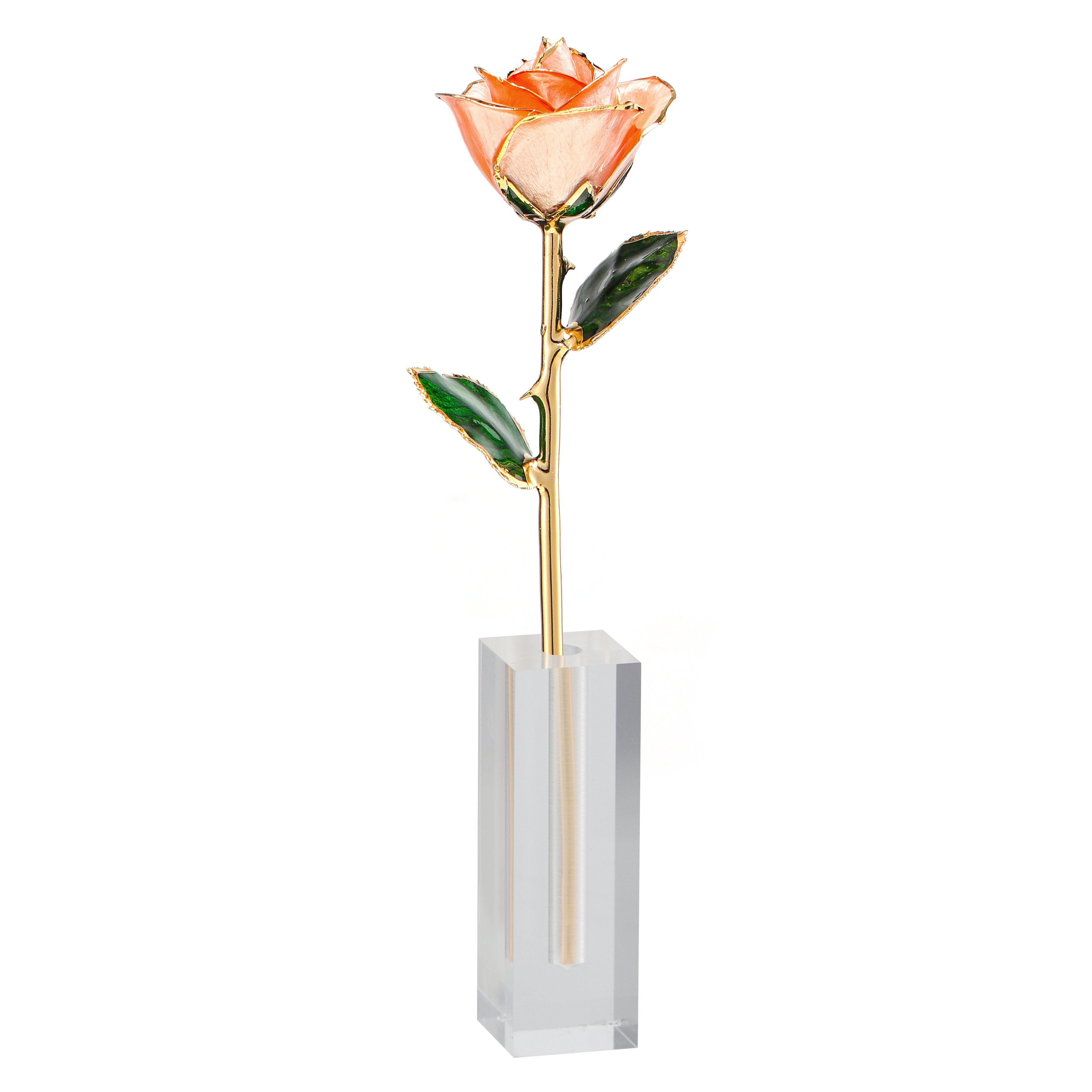 24k gold plated Rose preserved fresh flower wholesale preserved rose manufacture directly supply