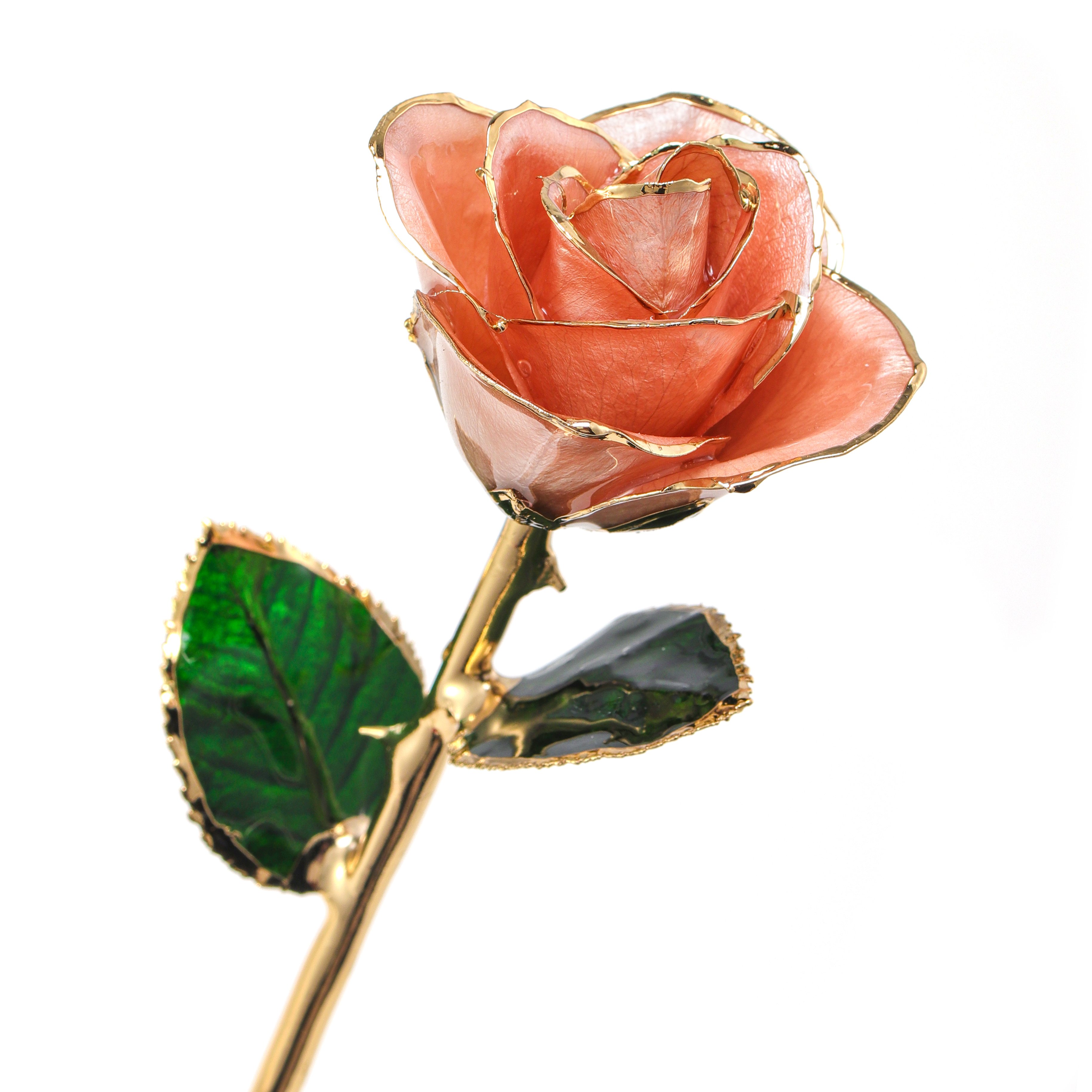 24k gold plated Rose preserved fresh flower wholesale preserved rose manufacture directly supply
