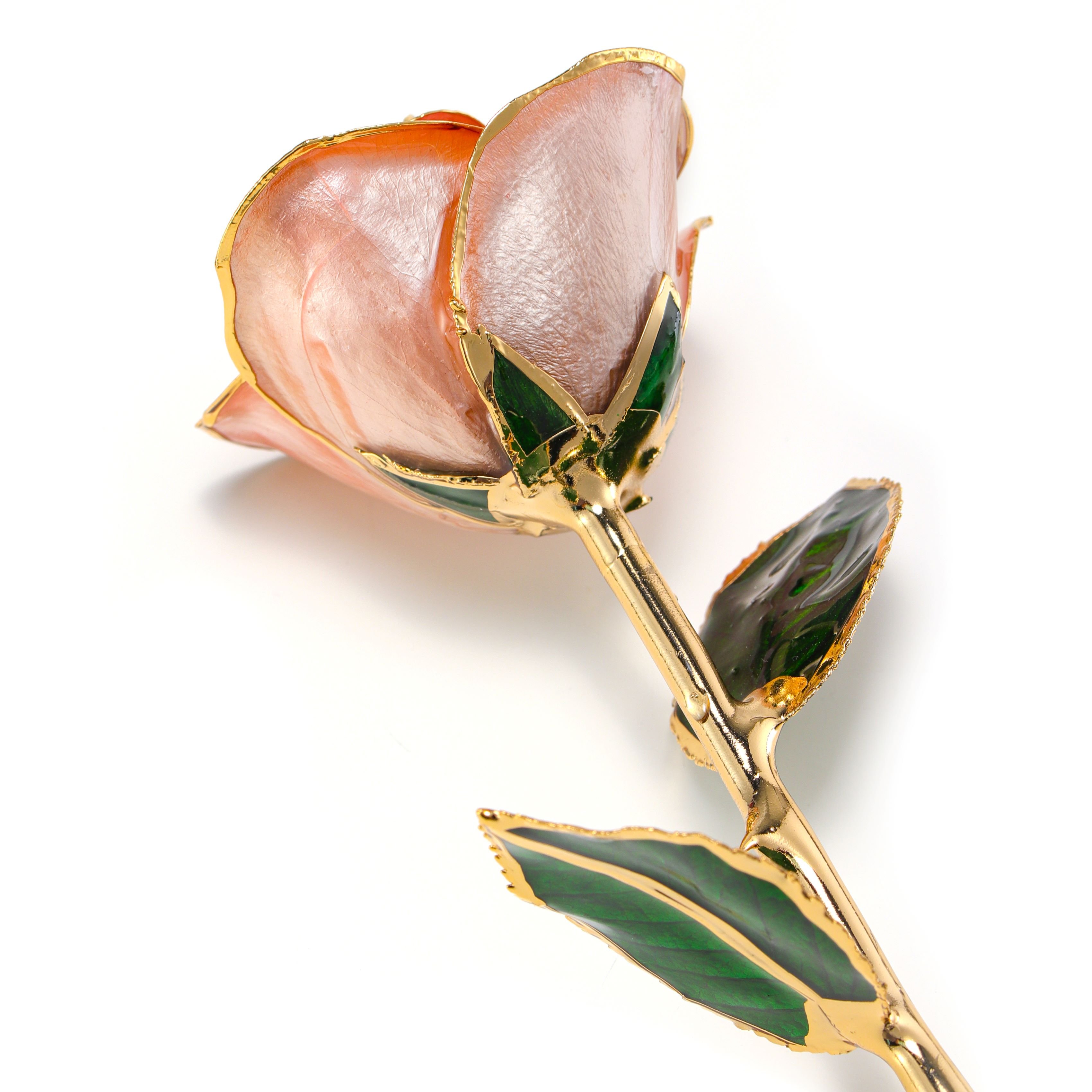 24k gold plated Rose preserved fresh flower wholesale preserved rose manufacture directly supply