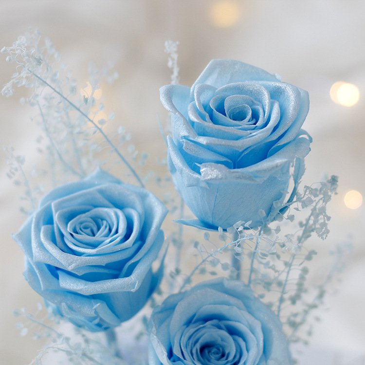 TC Wholesale 3 Eternal Rose Flower In Acrylic Box Wedding Valentines Day Gift Long Lasting Preserved Rose For Girlfriend
